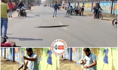 CG- बीच रोड में सोया अजगर VIDEO: 10 फीट लंबे पाइथन ने की रोड जाम, 20 मिनट तक रुका रहा ट्रैफिक, सहम गए लोग, वहीं DFO के बंगले से निकला करैत, देखें वीडियो.....
