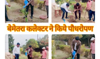 बेमेतरा कलेक्टर जितेंद्र कुमार शुक्ला ने पर्यावरण संरक्षण को बढ़ावा देने के लिए जिला कार्यालय में किये पौधारोपण
