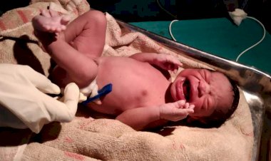 CG- थाने में प्रसव: थाने में गूंजी बच्चे की किलकारी, पानी पीने के बाद अचानक हुआ दर्द, गर्भवती महिला ने दिया बच्चे को जन्म......