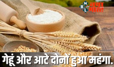 Wheat and Flour Rrices Rise: महंगाई ने एक बार फिर पकड़ी रफ्तार, गेहूं और आटे के भाव में लगातार बढ़ोतरी से लोग परेशान... एक्शन मोड में सरकार!
