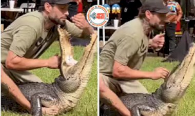 Magarmach Ka Video: एक शख्स मगरमच्छ के मुंह में डाल रहा था  हाथ, फिर जो हुआ वह देख लोगों की धड़कने हो गयी तेज- देखें वीडियो....