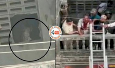 Wild Animal Video: इलाके की बिल्डिंग में अचानक घुसा जंगली तेंदुआ, लोग घर छोड़कर भागे, मच गया हडकंप- देखें वीडियो...
