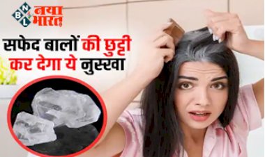 Hair Care: White Hair से है परेशान? नारियल के तेल में मिलाकर लगाएं ये खास चीज, सफेद बालों की छुट्टी क्र देगा ये घरेलू नुस्खा अपने आप काले होने लगेंगे बाल...