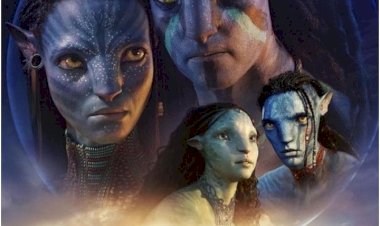 फिल्म देखते-देखते मौत: थिएटर में 'Avatar 2' देख रहे दर्शक को आया हार्ट अटैक, दिल का दौरा पड़ने से चली गई जान.....