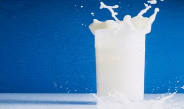 Milk Price Hike: नए साल से पहले आम आदमी को महंगाई का झटका…