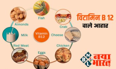 Vitamin B12 : विटामिन बी-12 की कमी को दूर करने के लिए डाइट में शामिल करें ये 4 बेहतरीन फूड्स....