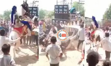 Dulhe Ka Video: दुल्हे को स्टंट दिखाना पड़ा भारी, बारात निकालने से पहले घोड़े ऊपर बैठकर दिखा रहा था यह कारनामा, लेकिन हुआ कुछ ऐसा जिसने सबको चौंका दिया- देखें वीडियो...