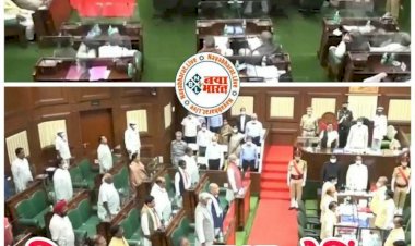 CG विधानसभा में हंगामा: पहले दिन की कार्यवाही स्थगित... आरक्षण के मुद्दे पर सदन में जमकर बवाल... गांधी प्रतिमा के नीचे धरने पर बैठे बीजेपी नेता... वहीं वन मंत्री ने दी जानकारी... तीन साल में 43 हाथियों की मौत... 13 करंट से मारे गए....