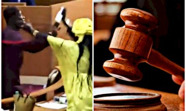 दो सांसदों को जेल: बजट सत्र के दौरान हाथापाई... सांसदों ने पार की क्रूरता की सारी हदें... गर्भवती महिला सांसद के पेट पर सदन के अंदर मारी लात... कोर्ट ने दोनों सांसदों को 6 महीने के लिए भेजा जेल.....