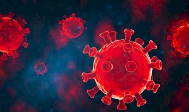 CG Corona ब्रेकिंग: हैदराबाद और यूके से लौटी महिला का हुआ था टेस्ट... जिनोम सिक्वेसिंग रिपोर्ट आई सामने... कोरोना के इस वेरिएंट की हुई पुष्टि....