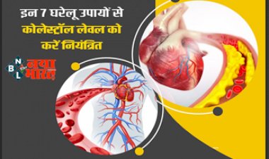 Bad Cholestrol Levels: कोलेस्ट्रॉल बढ़ने के पीछे हो सकते हैं ये कारण, जानें कम करने के इन 7 घरेलू उपायों को...