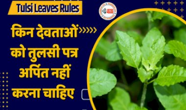 Tulsi Plant: इन देवताओं को तुलसी पत्र अर्पित करने से टूट पड़ता है मुसीबतों का पहाड़....करना पड़ता है क्रोध का सामना, आता है दुर्भाग्य....