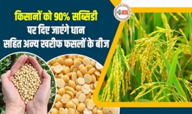 Subsidy on Seeds: खुशखबरी! किसानों को 90% सब्सिडी पर दिए जाएंगे धान सहित अन्य खरीफ फसलों के बीज, जाने कैसे ले सकते है इस सुविधा का लाभ...