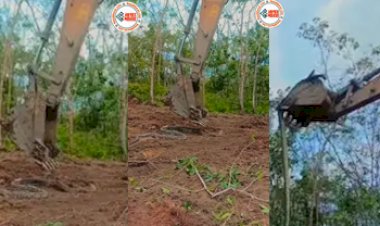 Azgar Ka Video: विशाल अजगर को उठाने बुलानी पड़ी रेस्क्यू टीम की JCB, Video देखें हिल गये लोग....