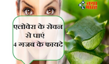 Benefits of Aloe vera: एलोवेरा का इस्तेमाल केवल खूबसूरती ही नहीं, सेहत के लिए भी फायदेमंद है, जाने इसके 4 गजब के फायदे....