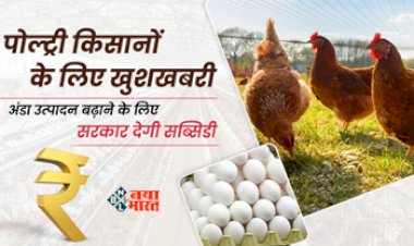 Sarkari Yojana : बड़ी खुशखबरी! अब पोल्ट्री फार्मिंग के साथ अंडा का उत्पादन बढ़ाने के लिए सरकार देगी सब्सिडी, 25 लाख तक सरकार देगी अनुदान, यहाँ देखें डिटेल...