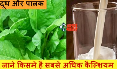 Milk and Spinach Nutrient Test : दूध और पालक का करते हैं सेवन, जाने किसमे है सबसे अधिक कैल्शियम, जानें क्या है सेहत के लिए ज्यादा हेल्दी...