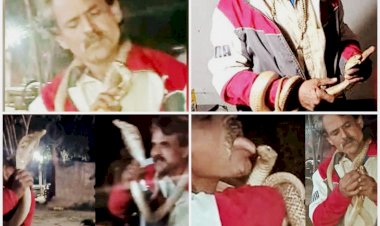 Video: जहरीले सांप को किया Kiss... मुंह में डाली अंगुली... गले में लटकाकर सांप से खेलता रहा शख्स... स्टंटबाजी के चक्कर में हुई मौत... देखें वीडियो.....