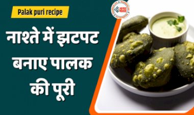 Palak puri recipe: झटपट बनाए पालक पूड़ी, स्वाद के साथ मिलेगी सेहत....जानिए रेसिपी…
