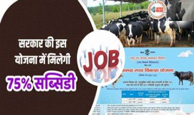 Dairy Farm: डेयरी उद्योग के लिए सरकार दे रही है 75% की सब्सिडी, इन बातों का रखें ध्यान....