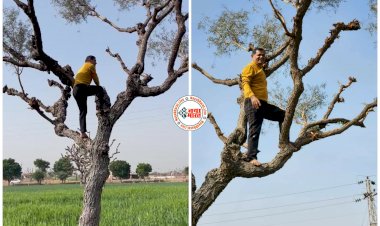 पेड़ पर चढ़ गए CG के सीनियर IPS VIDEO: IPS अफसर को पेड़ पर चढ़ता देख हैरान हुए लोग... बताई ये दिलचस्प वजह... देखें वीडियो......