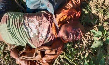 मस्तूरी तहसील कार्यालय के पीछे नहर किनारे खून से लथपथ युवक क़ी मिली लाश,गला रेतकर क़ी गई हत्या,डॉग स्कॉड के साथ पहुंची पुलिस जाँच में जुटी पढ़े पूरी खबर