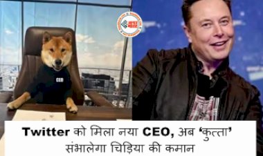 Twitter CEO: Twitter को मिला नया CEO, अब ‘कुत्ता’ संभालेगा चिड़िया की कमान....
