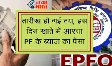 PPF Account : PPF खाताधारकों की हुई मौज! तारीख हो गई तय, इस दिन केंद्र सरकार खाते में ट्रांसफर करेगी PF का पैसा, ऐसे चेक करें अपना बैलेंस, यहाँ देखें डिटेल...