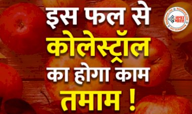 Apple Reduce Cholesterol : इस फल से होगा कोलेस्ट्रोल का काम तमाम! रोज सुबह उठकर करें इस फल का सेवन, शरीर में जमा कोलेस्ट्रोल निकलेगा बाहर...