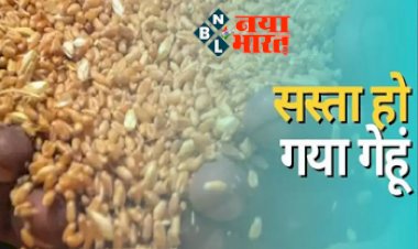Wheat flour price down : खुशखबरी! सस्ता हो गया गेंहू.... सरकार ने घटाए गेंहू के दाम, आटा और भी होगा सस्ता, आम जनता को मिलेगी राहत...