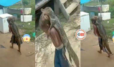 Magarmach Ka Video: मगरमच्छ को ही कंधे पर लटका लाया छोटा बच्चा, आखिर में जो दिखा दिमाग घूम जाएगा - देखिए वीडियो...