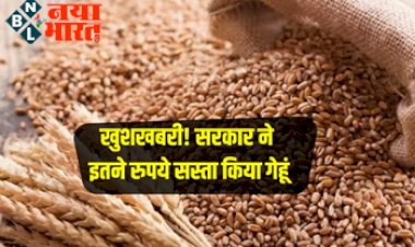 Wheat Price Down : खुशखबरी! काफी समय बाद कम हुआ गेहूं के दाम! किसानों के साथ आमआदमी को भी मिलेगा फायदा, जाने कितना है अब कीमत...