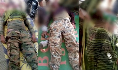 CG- 3 जवान शहीद BIG NEWS: पुलिस-नक्सली मुठभेड़... नक्सली हमले में ASI सहित तीन जवान शहीद... दो घायल.....