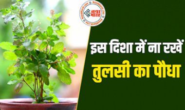 Vastu Tips : कभी भी घर की इस दिशा में न लगाएं तुलसी का पौधा, नहीं तो झेलनी पड़ेगी पैसों की कमी, खुशहाल गृहस्थी में लग जाती है आग...