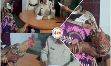 CG में पड़ोसी ने मुर्गा चोरी कर तोड़ दिया पंख: मुर्गे को थाने में लेकर पहुंची महिला, शिकायत सुनकर पुलिसकर्मी भी हो गए हैरान, महिला बोली- मुर्गे के मर्डर की कोशिश....