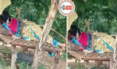 King Cobra Viral News : आराम से सोयी थी महिला, तभी अचानक किंग कोबरा ने महिला को लपेट लिया,  फिर जो हुआ उसे देख उड़ जायेंगे आपके होश- देखें वीडियो...
