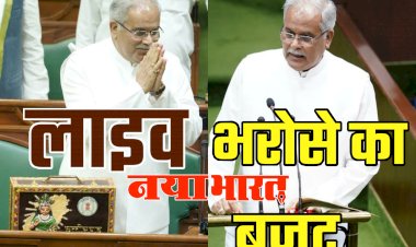 CG Budget 2023: इन 10 के मानदेय में बड़ी वृद्धि... इस जिले में खुलेगा नया जंगल सफारी... बेटियों की शादी में अब छत्तीसगढ़ सरकार देगी 50 हजार रूपए... मुख्यमंत्री की सभी बड़ी घोषणाएं... पढ़िए एक साथ....