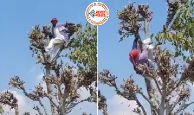 Drunk man climbing tree : शराब के नशे में धुत्त होकर पेड़ पर चढ़ा शख्स, ऊपर में चढ़कर करने लगा ऐसी हरकत, नज़ारा देख लोगों के भी छुटे पसीने- देखें वीडियो...
