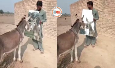 Funny Animal Video : शख्स ने गधे को शीशे में दिखाया उसी का चेहरा, चेहरा देखकर गधे ने जो किया, नज़ारा देख हंसी से लोटपोट हो जाओगे- देखें मजेदार वीडियो...