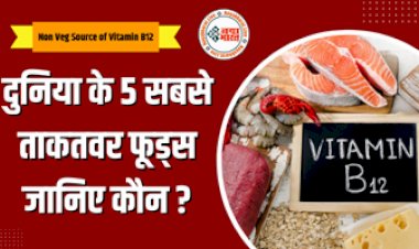 Non Veg Source of Vitamin B12 : आज ही अपने आहार में शामिल करें ये ताकतवर फ़ूड, विटामिन बी12  से है भरपूर, यहाँ देखें ये 5 फ़ूड...
