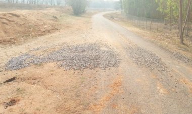 ग्राम पंचायत तितरवंड के पिटीसपाल नयापारा से हरवेल मार्ग पर आने जाने वाले राहगीरों को परेशानी