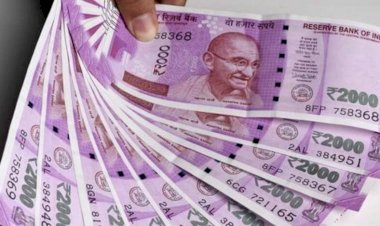 Employee salary payment : कर्मचारियों के लिए अच्छी खबर, जल्द होगा वेतन का भुगतान, ट्रेजरी भेजे जाएंगे बिल…