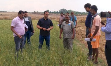 Sarguja News : ओलावृष्टि के कारण फसल क्षति का जायजा लेने कलेक्टर पहुंचे फील्ड फसल क्षति का नजरी आकलन कर मुआवजा राशि हेतु आवश्यक कार्यवाही करने के निर्देश