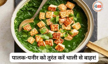 Diet Tips : आपको भी पसंद है पालक पनीर? तो जान ले इसके अनसुने नुकसान, जानकर हो जाएंगे हैरान, आपकी सेहत के लिए नहीं है सही...