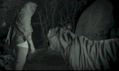 Pushpa 2 Trailer Release : रिलीज हुआ ‘पुष्पा 2’ का धमाकेदार ट्रेलर, Tiger के साथ Allu Arjun ने ली एंट्री,VIDEO बार-बार देखने को करेगा मन...