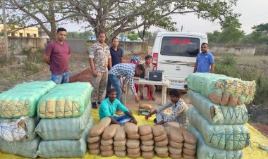 CG में 63 लाख का गांजा पकड़ाया: छोटा हाथी में चल रही थी गांजा की तस्करी...पुलिस की गांजा तस्करी पर बड़ी कार्यवाही...नशे के 2 सौदागर गिरफ्तार...गांजा छिपाने का तरीका जान हो जाएंगे हैरान....