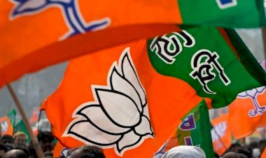 CG- BJYM नियुक्ति BREAKING: भाजयुमो ने 90 विधानसभा सीटों के लिए प्रभारी और सह प्रभारियों की सूची जारी की…देखें लिस्ट...