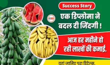 Success Story : डिप्लोमा कर इस शख्स ने बदल डाली अपनी पूरी जिंदगी, फसलों की बजाय फलों की खेती से कमा रहे मुनाफ़ा, हो रही लाखों की कमाई...