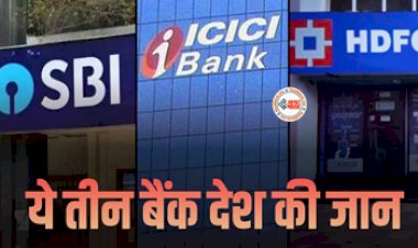 D-SIB Bank : ये 3 बैंक है भारत की ताकत! यदि ये डूब गये तो देश का हाल हो जायेगा बेहाल, RBI ने इन बैंको का किया है चयन...