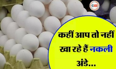 Egg Business: कहीं आप भी तो नहीं कहा रहे है ये नकली अंडे! बाजार में धड़ल्ले से बिक रहे है... ऐसे करें असली-नकली में पहचान...